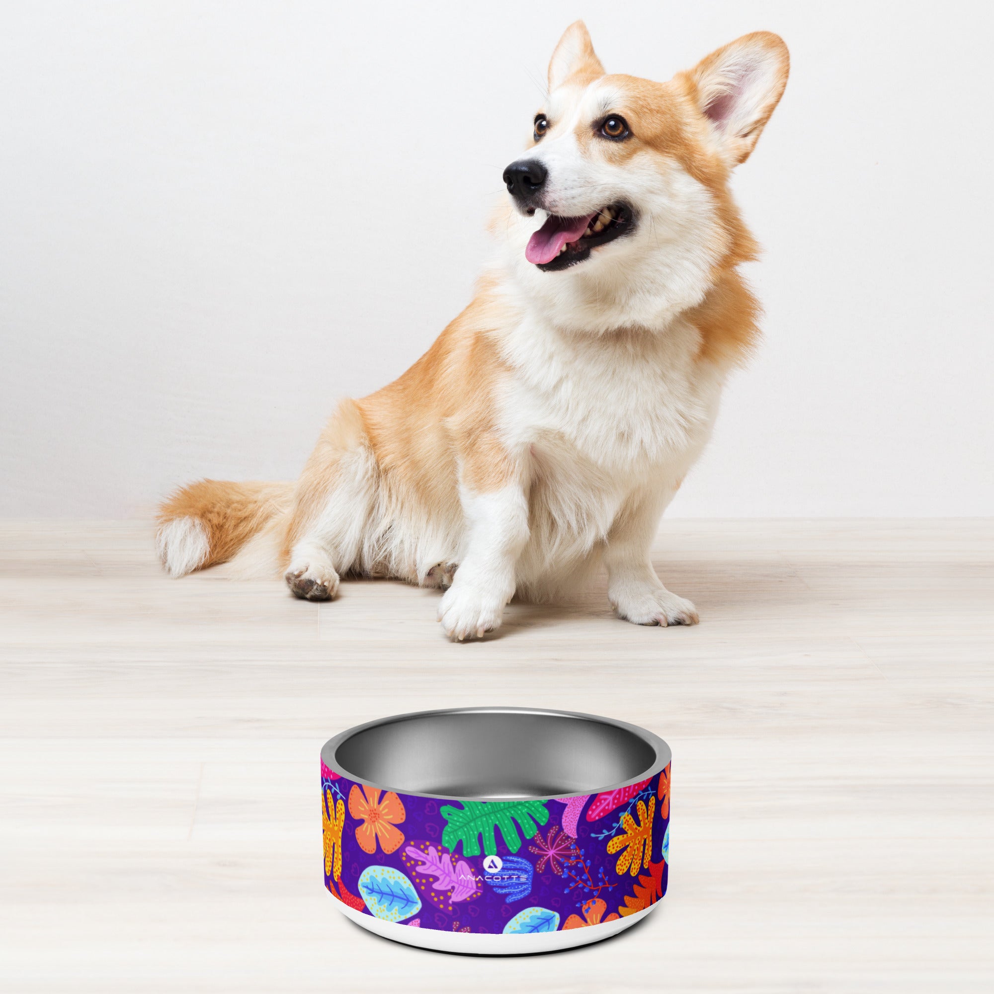 Anacotte Pet Bowl: Made with BPA-Free, Food-Grade Stainless Steel