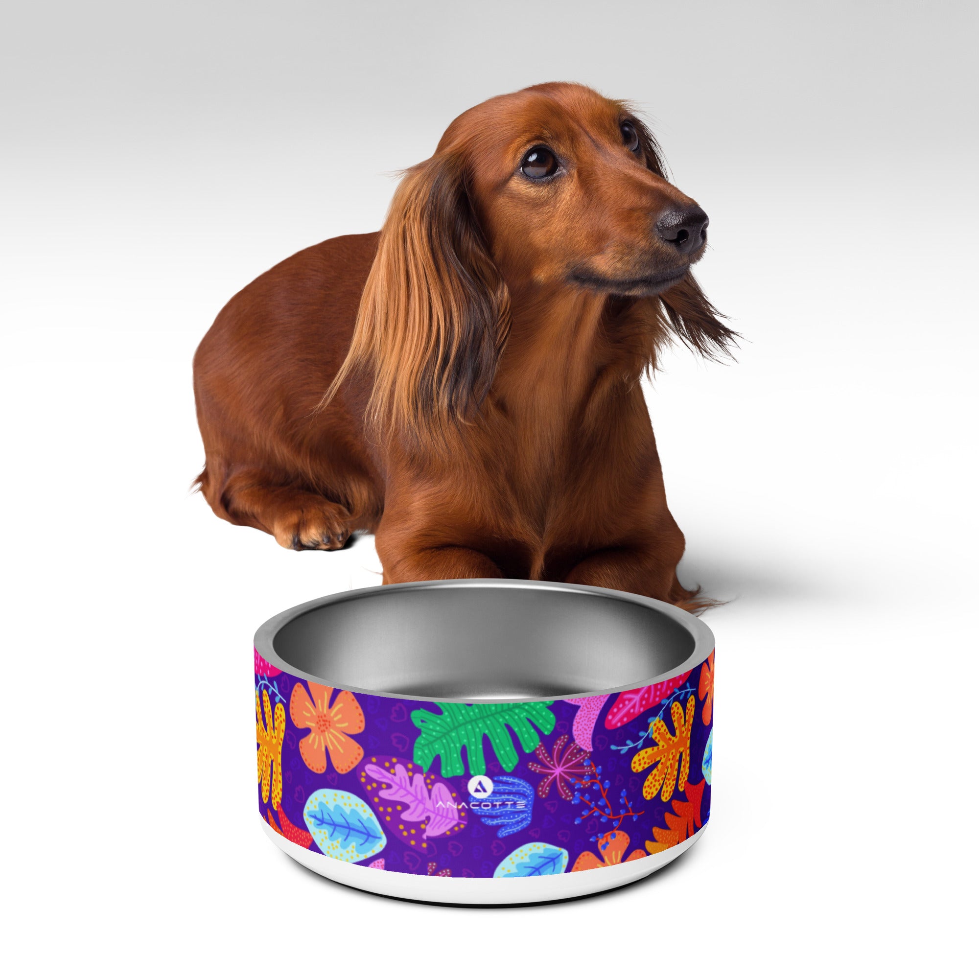 Anacotte Pet Bowl: Made with BPA-Free, Food-Grade Stainless Steel