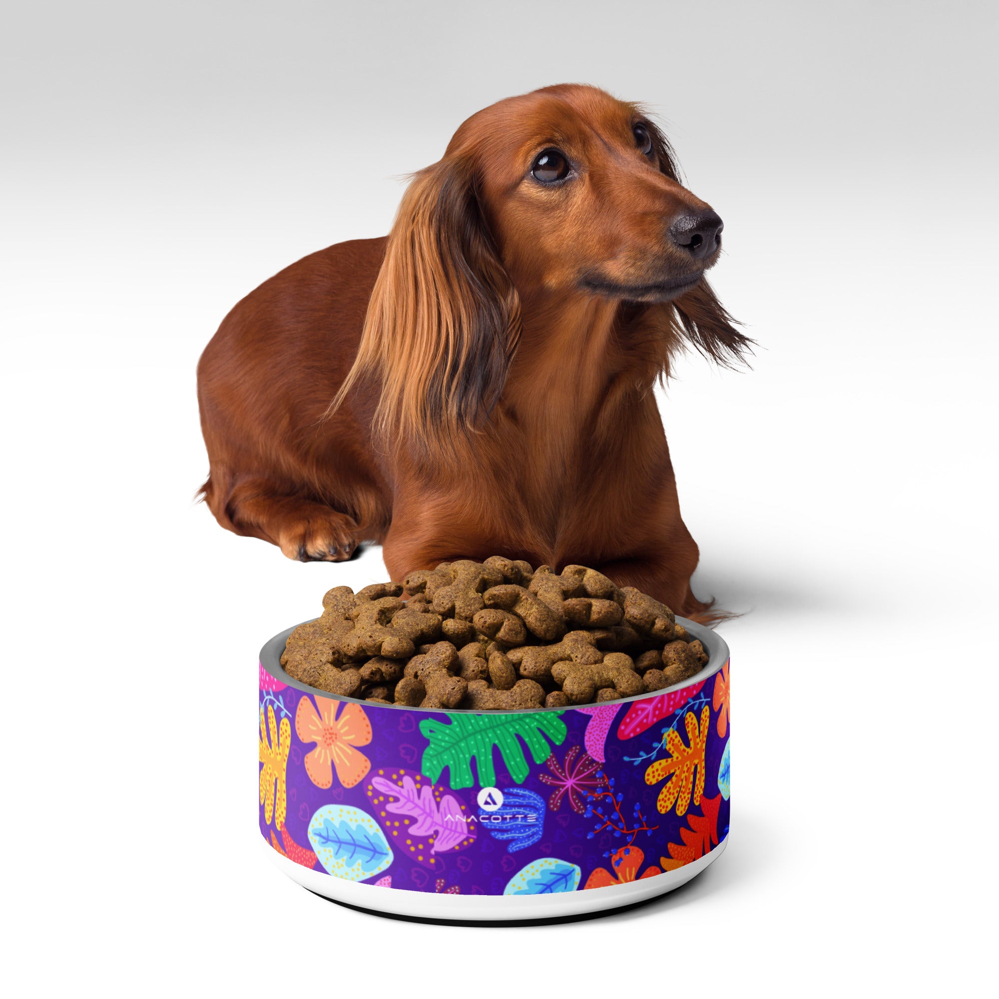 Anacotte Pet Bowl: Made with BPA-Free, Food-Grade Stainless Steel