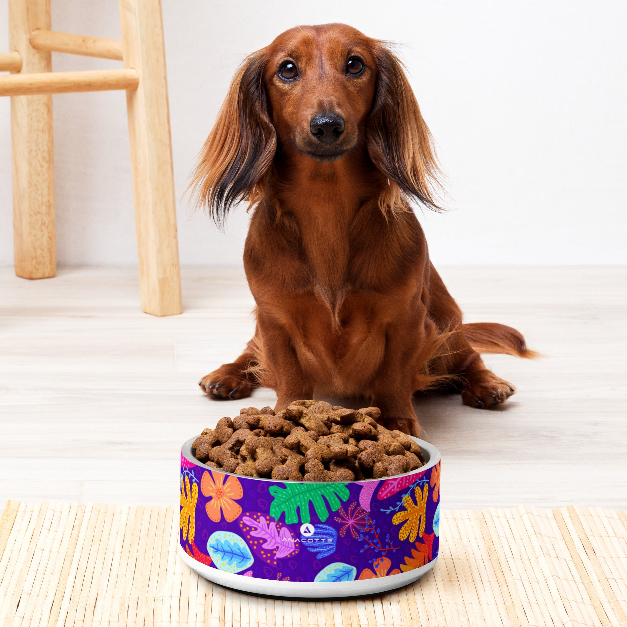 Anacotte Pet Bowl: Made with BPA-Free, Food-Grade Stainless Steel