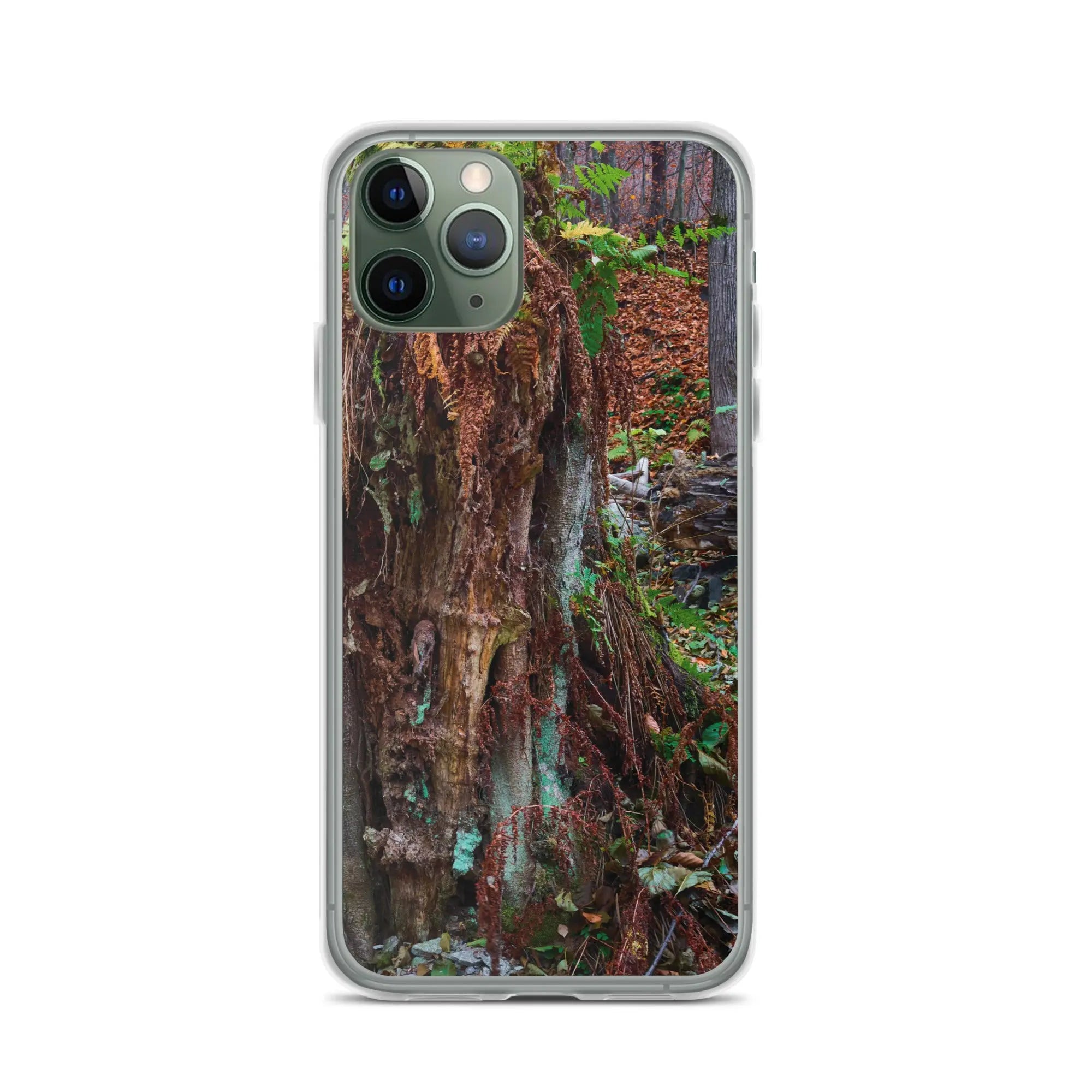 iPhone Case Anacotte