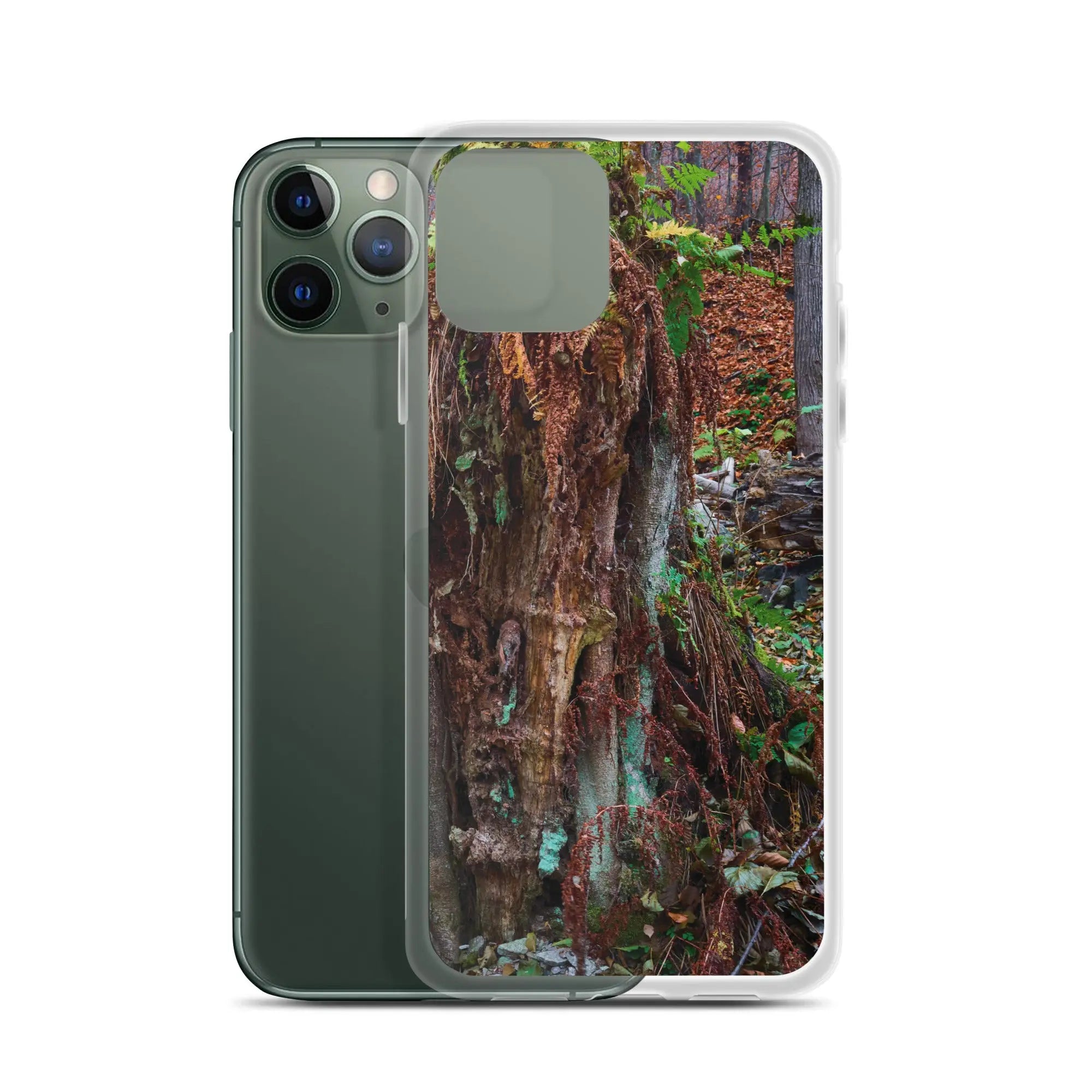 iPhone Case Anacotte