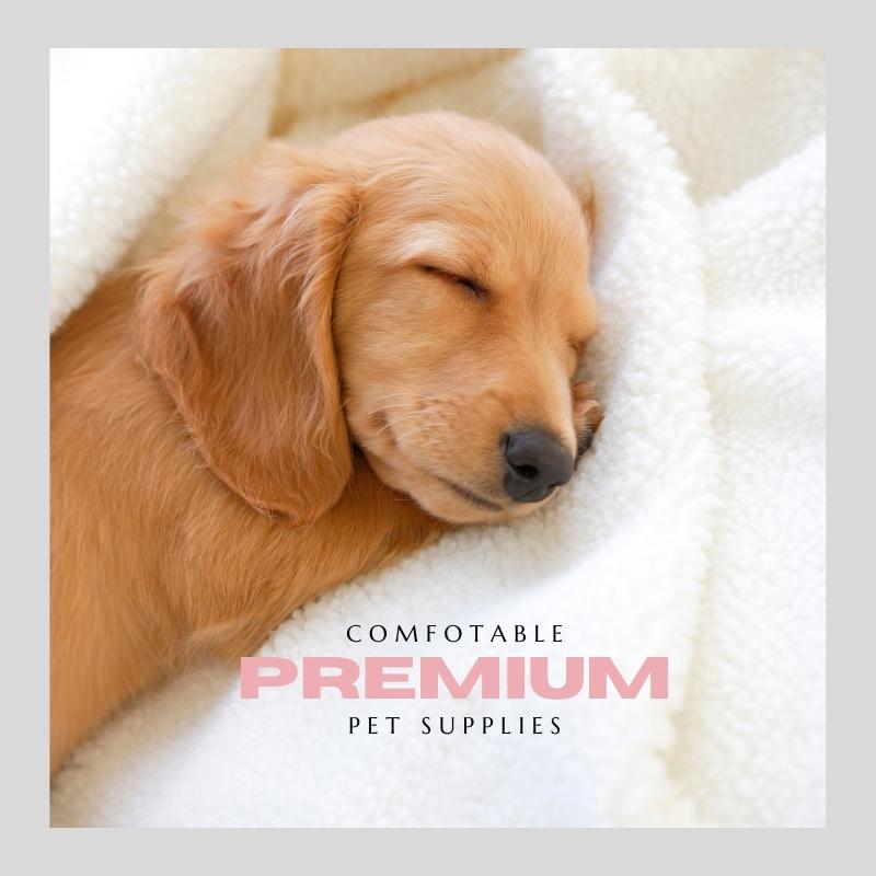 Anacotte Comfortable and Premium Pet Care & Supplies