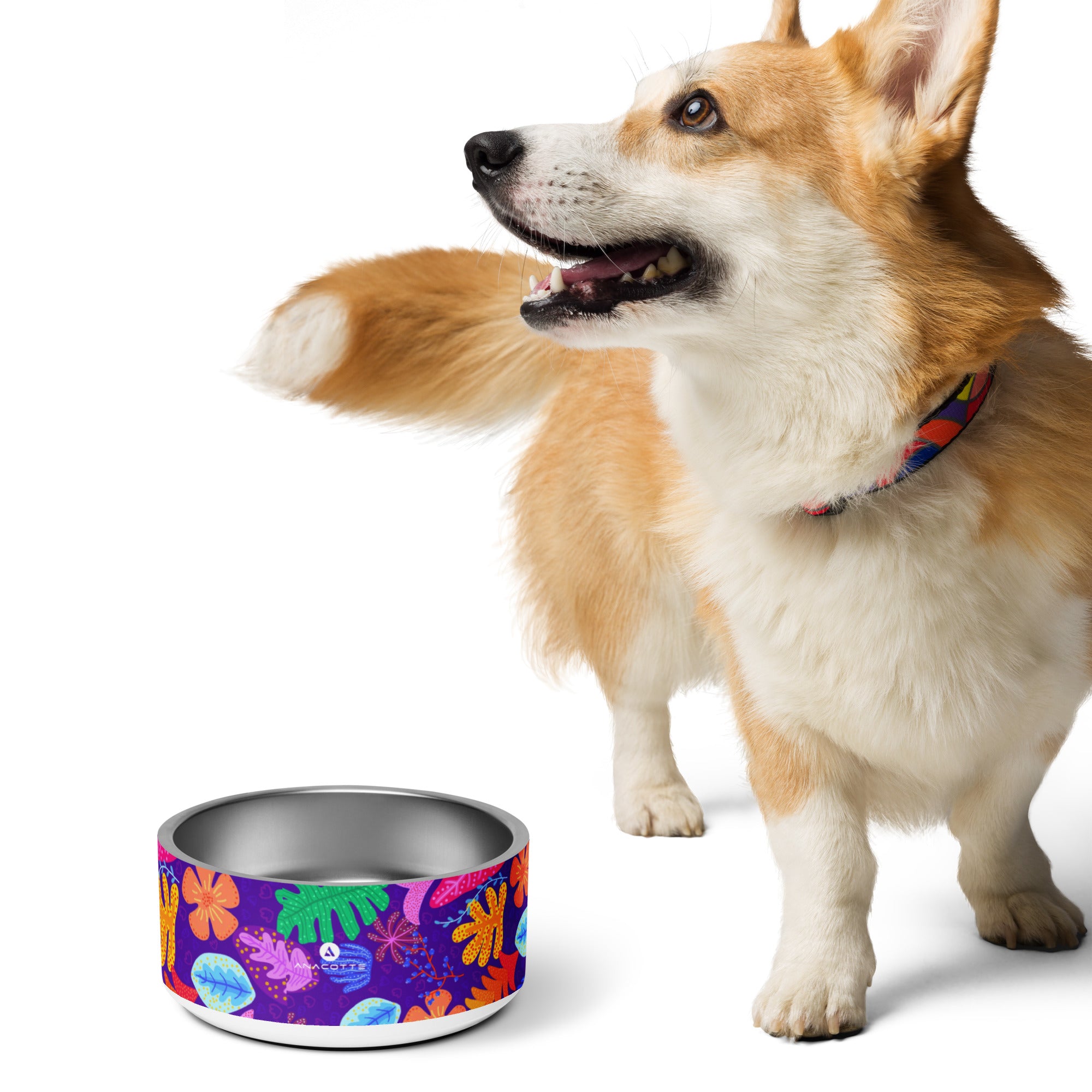 Anacotte Pet Bowl: Made with BPA-Free, Food-Grade Stainless Steel