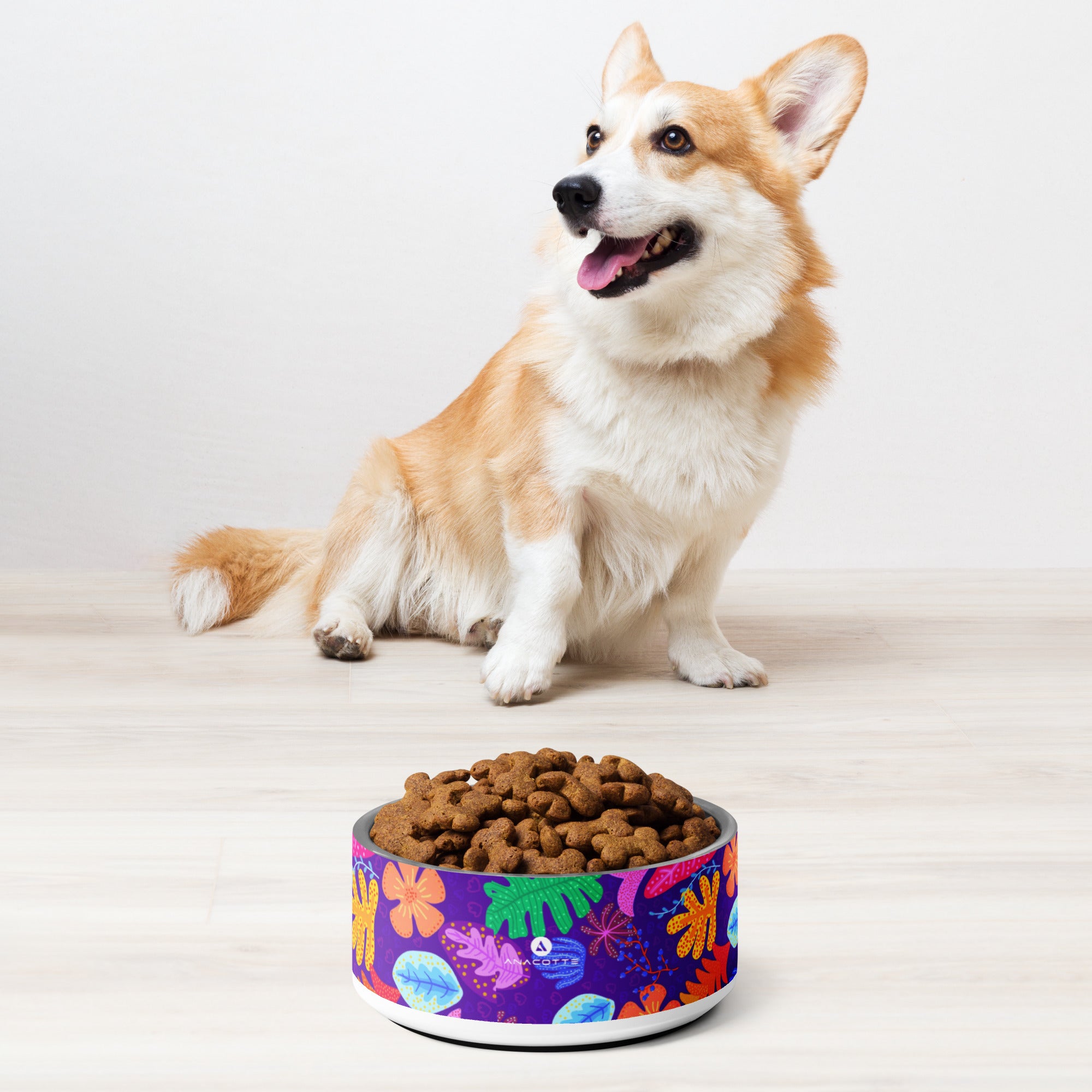 Anacotte Pet Bowl: Made with BPA-Free, Food-Grade Stainless Steel