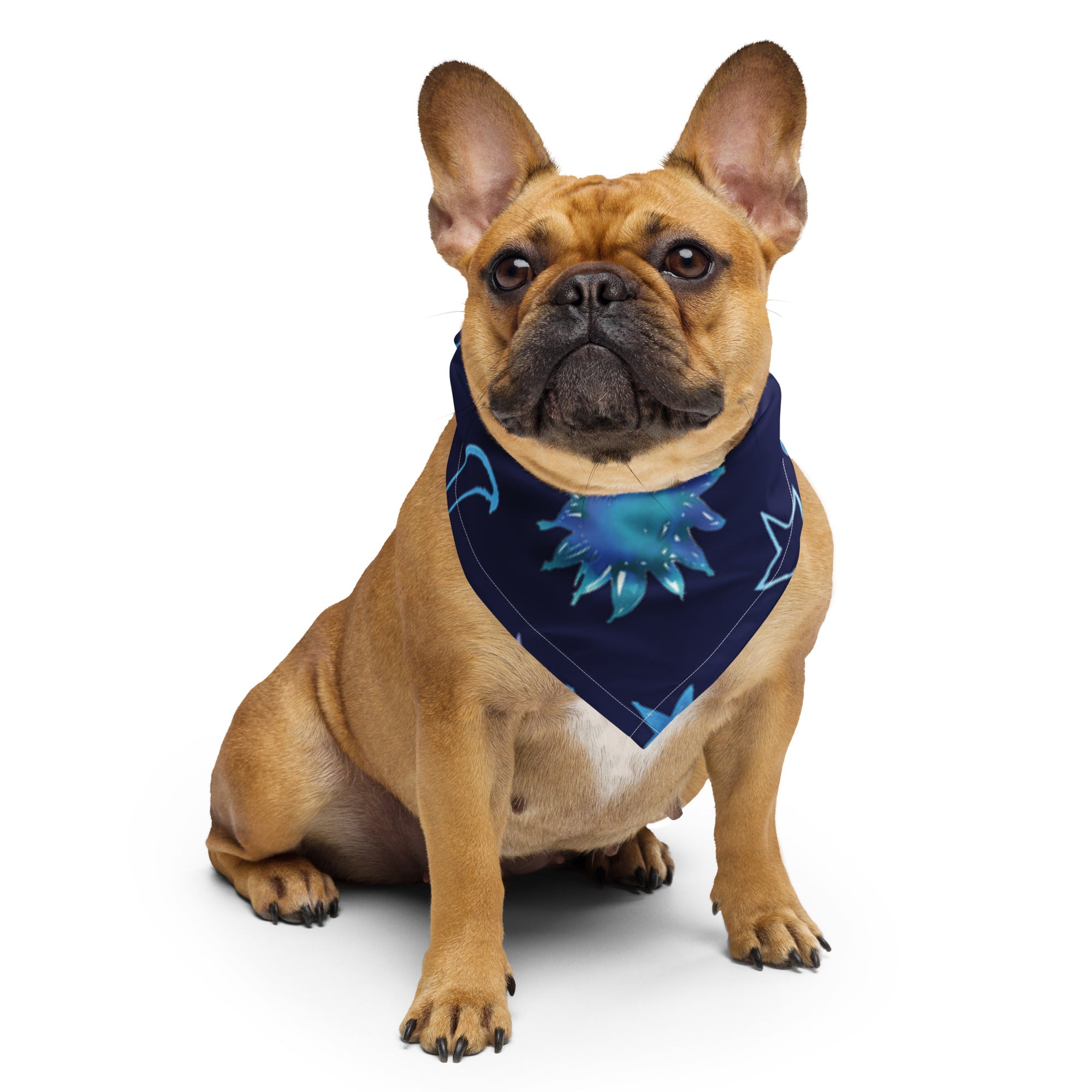 Anacotte All-over print Star bandana